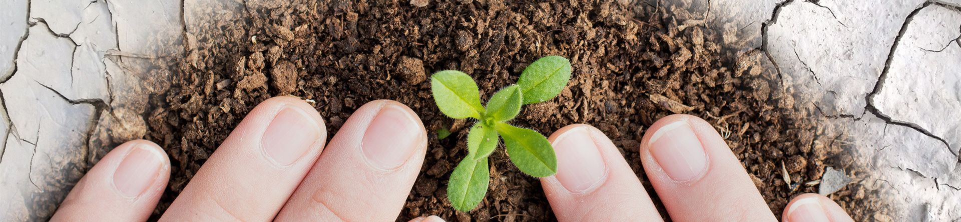 28圈官网版-创意平台,注册畅享文化之梦!